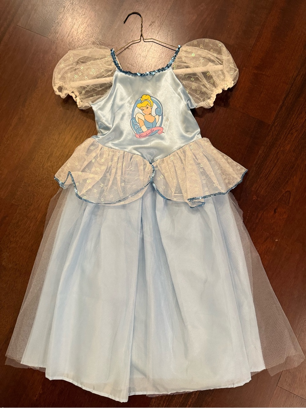 Disney Cinderella Light Blue and Gold Princess Dress Costume